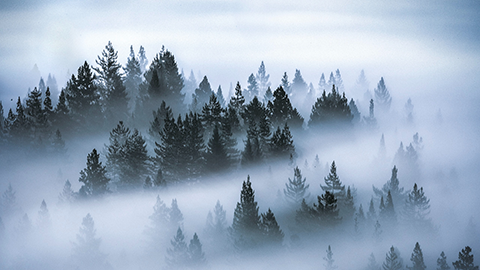 张家口软件测试培训