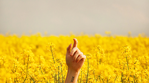 唐山软件开发培训