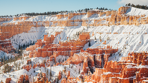 重庆软件测试培训