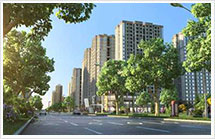 场景整理与细化清晨