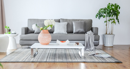 就业选择空间广